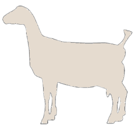 lamancha