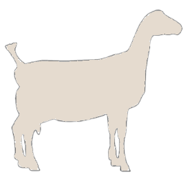 lamancha